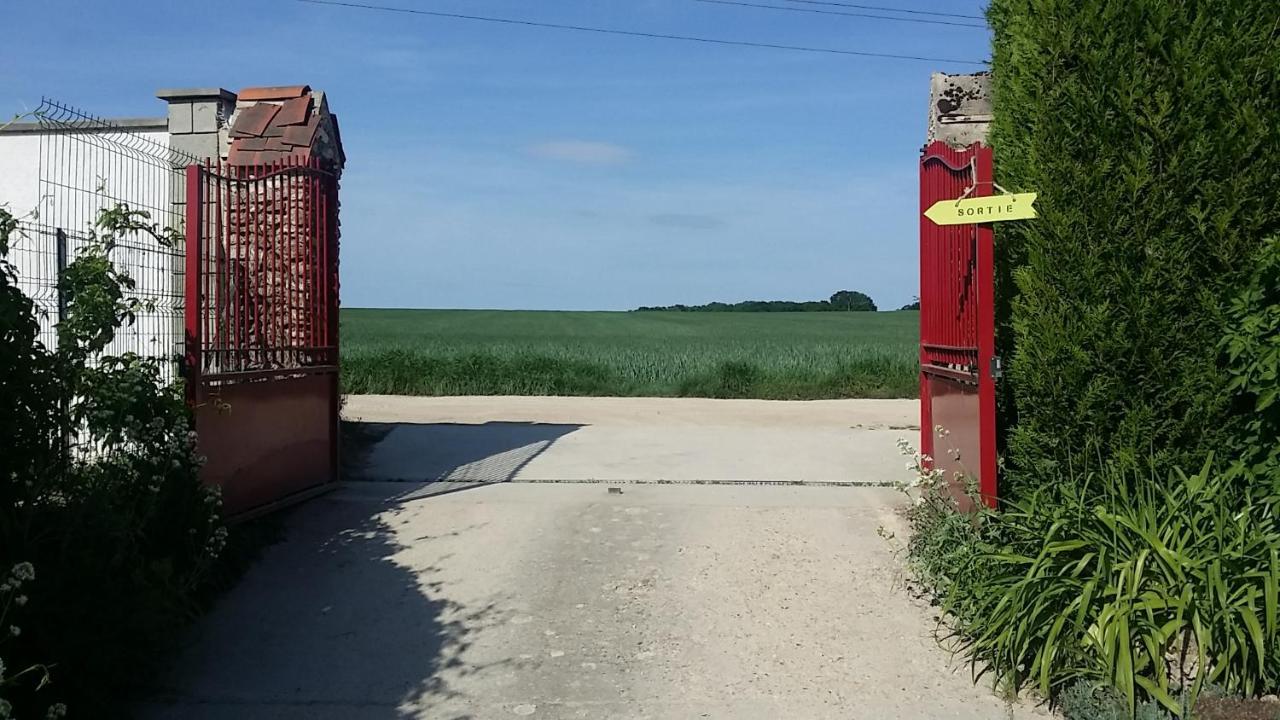 Les Nympheas, Appart Au Calme Et Grand Jardin A 15 Min De Disneyland, Crecy-la-Chapelle Екстер'єр фото