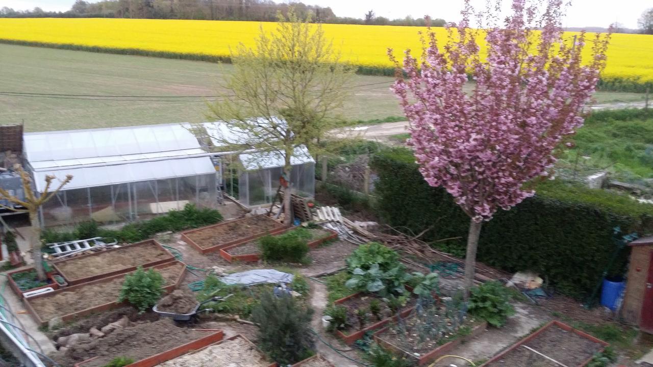 Les Nympheas, Appart Au Calme Et Grand Jardin A 15 Min De Disneyland, Crecy-la-Chapelle Екстер'єр фото
